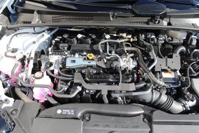 2024 Toyota Prius XLE